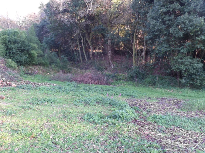 Quinta T1 para Venda em Vila Nova de Cerveira e Lovelhe Foto 12