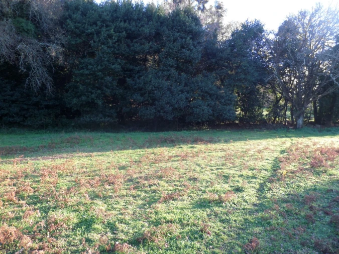 Quinta T1 para Venda em Vila Nova de Cerveira e Lovelhe Foto 14