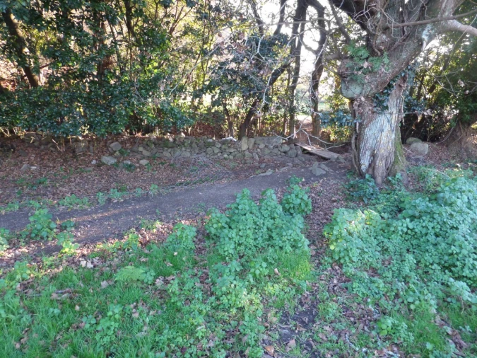 Quinta T1 para Venda em Vila Nova de Cerveira e Lovelhe Foto 16