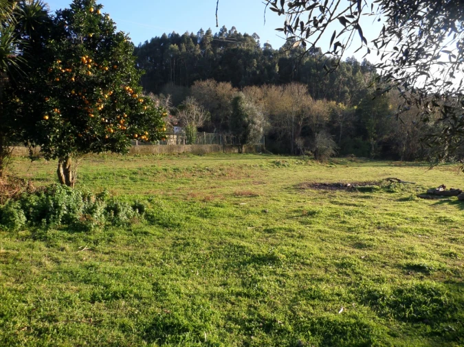 Quinta T1 para Venda em Vila Nova de Cerveira e Lovelhe Foto 18