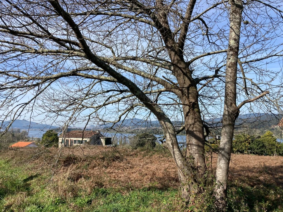 Terreno para Venda em Gondarem Foto 6