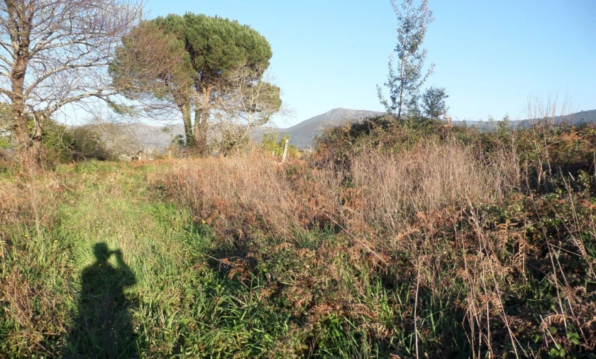 Terreno para Venda em Gondarem Foto 8