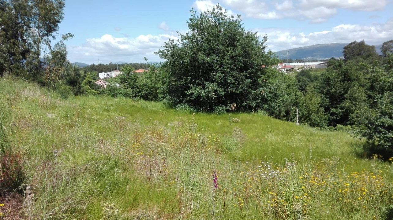 Terreno para Venda em Campos e Vila Meã Foto 4