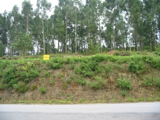 Terreno para Venda em Cornes Foto 1
