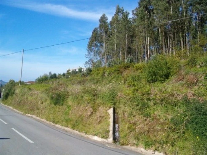 Terreno para Venda em Cornes Foto 3