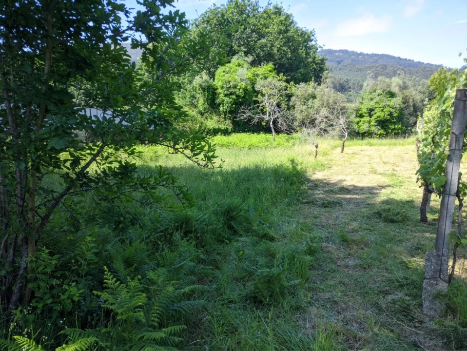 Terreno para Venda em Cornes Foto 2
