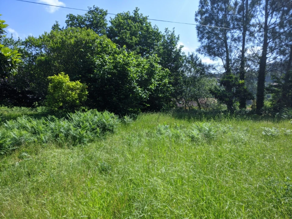 Terreno para Venda em Cornes Foto 5