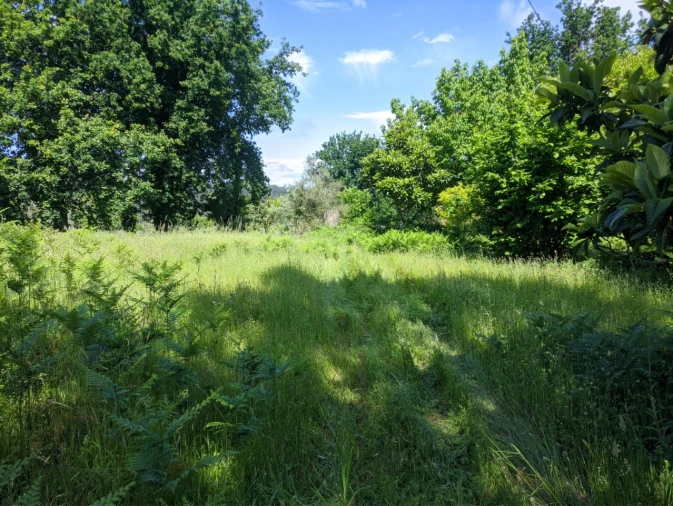 Terreno para Venda em Cornes Foto 3