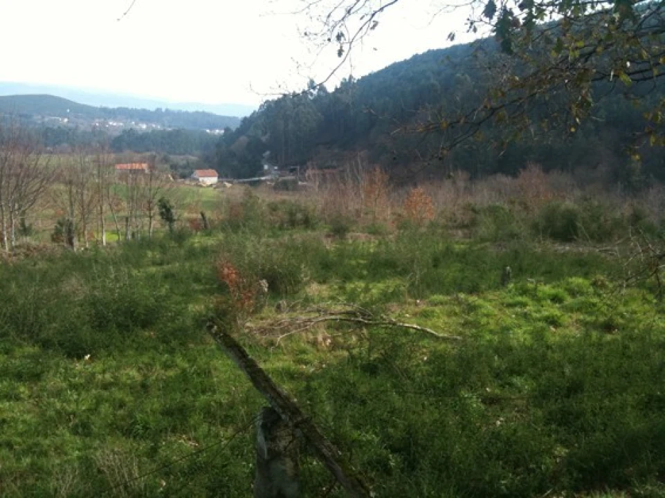 Terreno para Venda em Candemil e Gondar Foto 2
