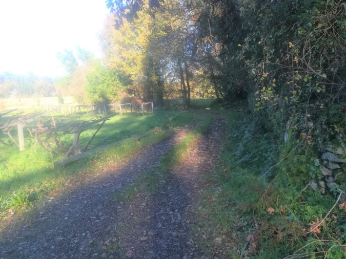 Terreno para Venda em Reboreda e Nogueira Foto 2