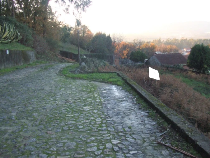 Terreno para Venda em Reboreda e Nogueira Foto 1