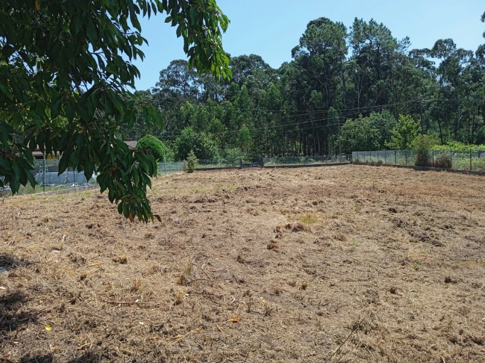 Terreno para Venda em Campos e Vila Meã Foto 13