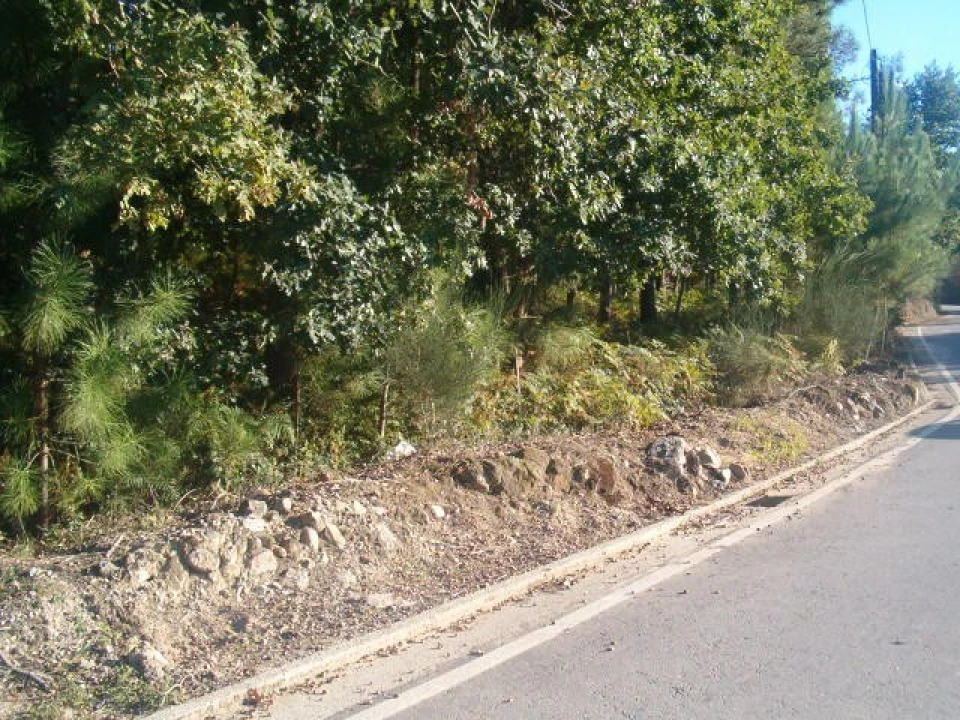 Terreno para Venda em Campos e Vila Meã Foto 2