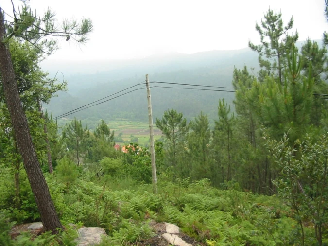 Terreno para Venda em Sopo Foto 4