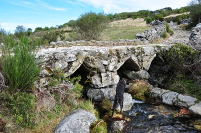 Moradia T0 para Venda em Castro Laboreiro e Lamas de Mouro