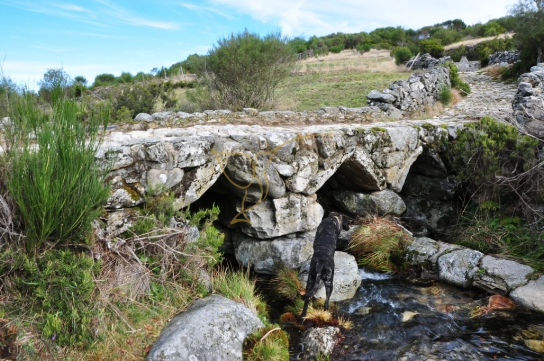 Moradia T0 para Venda em Castro Laboreiro e Lamas de Mouro Foto 6