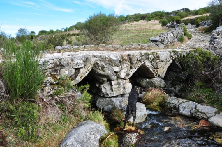 Moradia T0 para Venda em Castro Laboreiro e Lamas de Mouro Foto 11