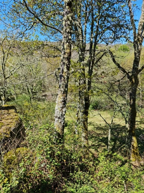 Moradia T0 para Venda em Castro Laboreiro e Lamas de Mouro