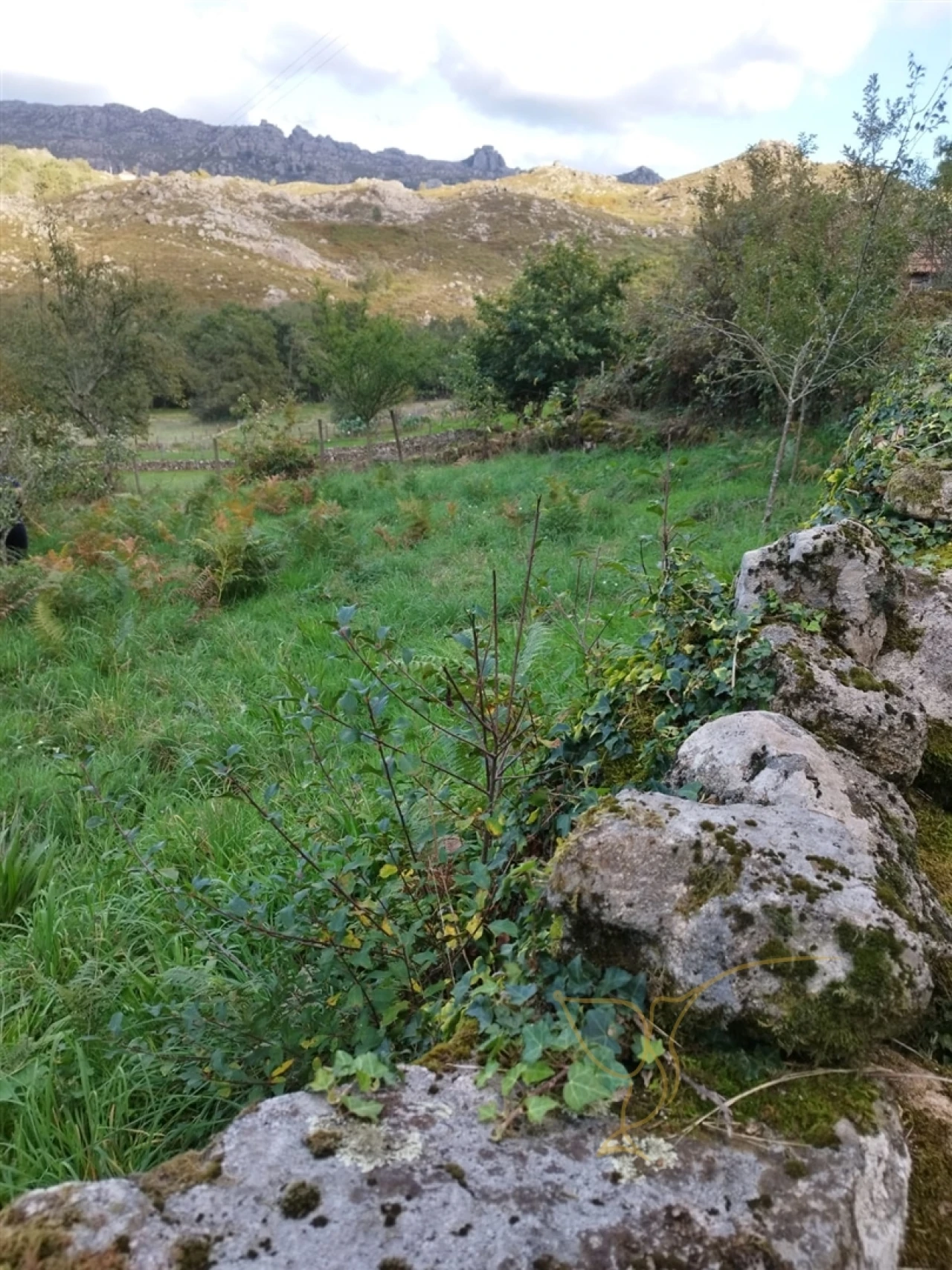 Moradia T0 para Venda em Castro Laboreiro e Lamas de Mouro Foto 11