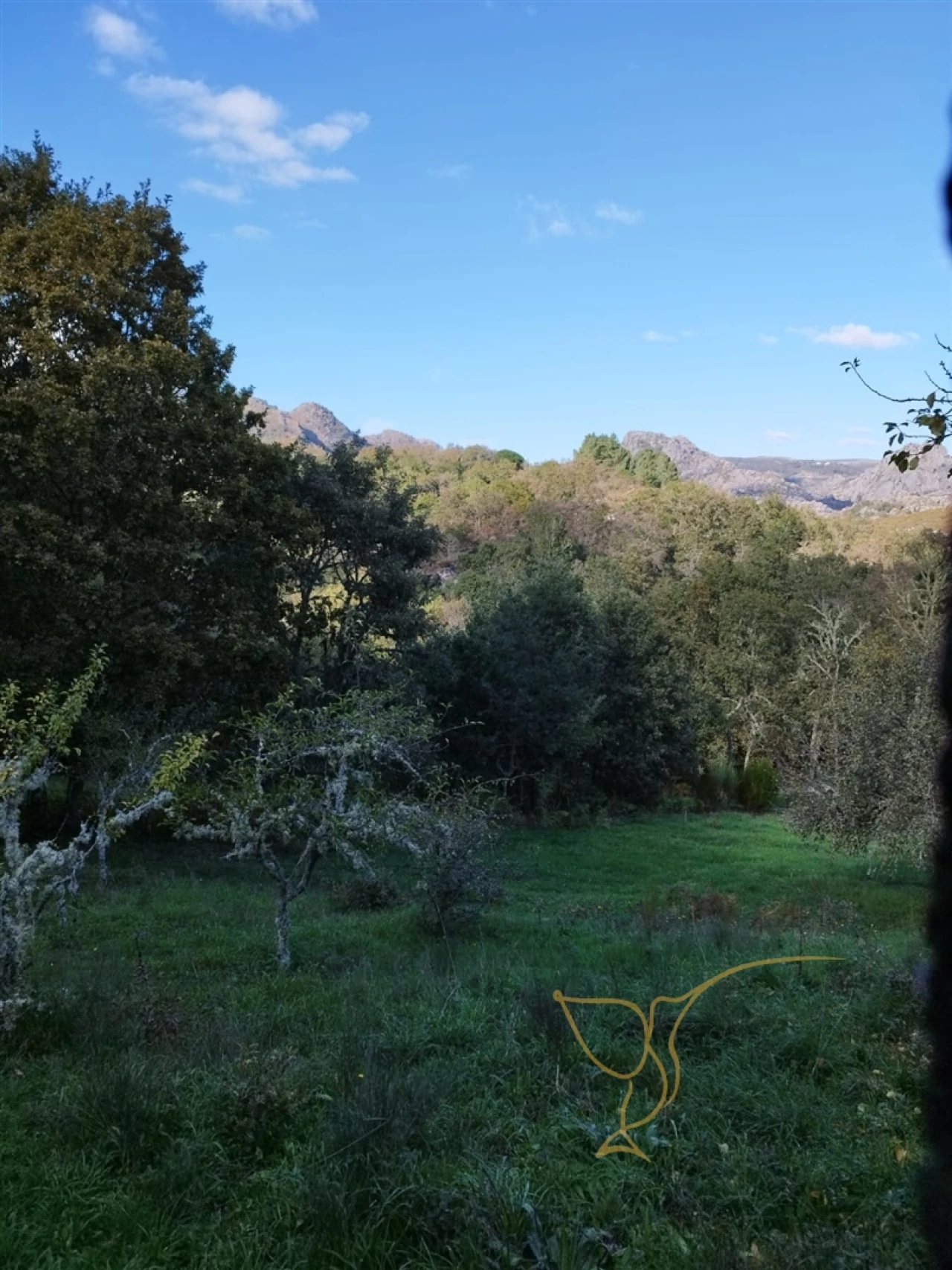 Moradia T0 para Venda em Castro Laboreiro e Lamas de Mouro Foto 4