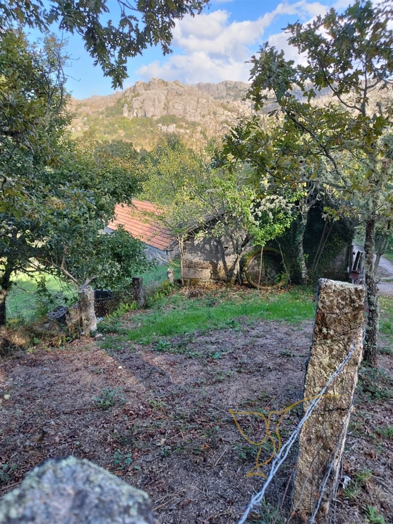 Moradia T0 para Venda em Castro Laboreiro e Lamas de Mouro Foto 9