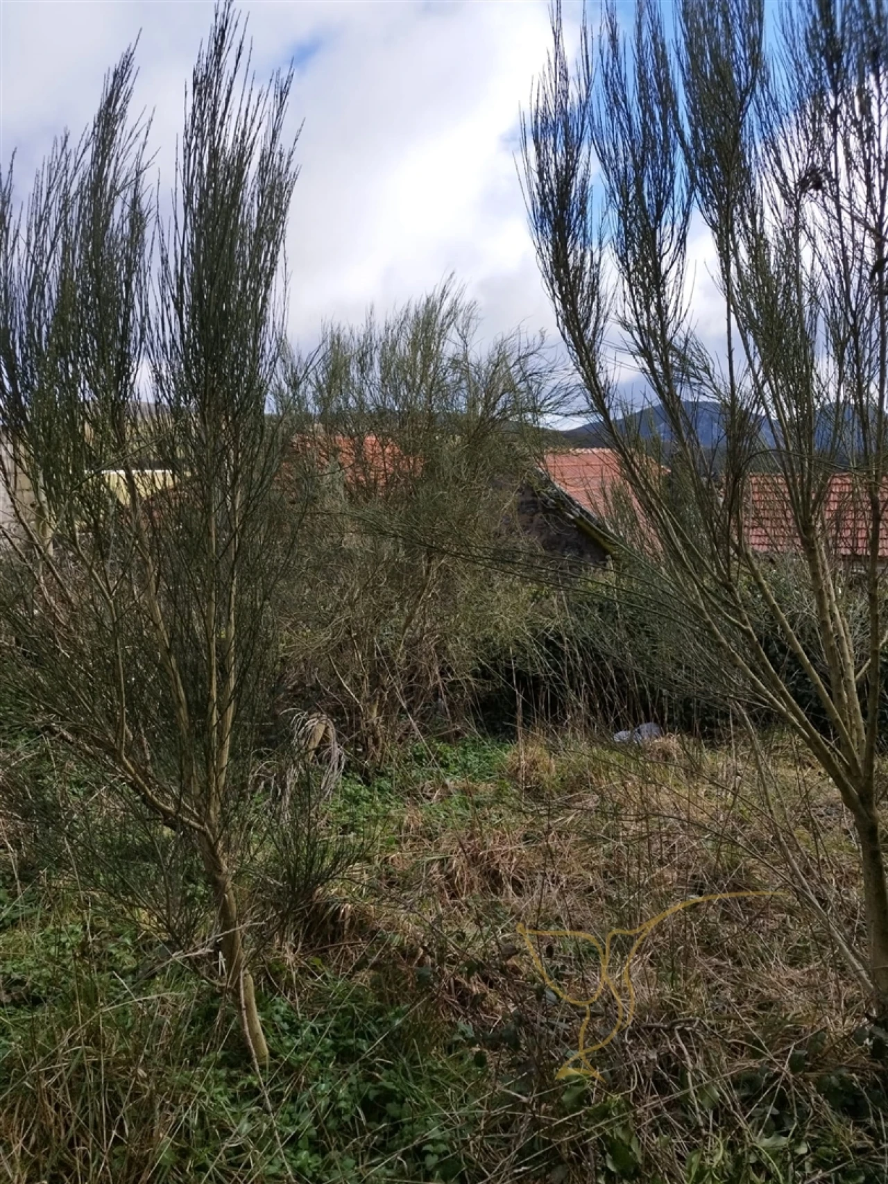 Moradia T0 para Venda em Castro Laboreiro e Lamas de Mouro Foto 13