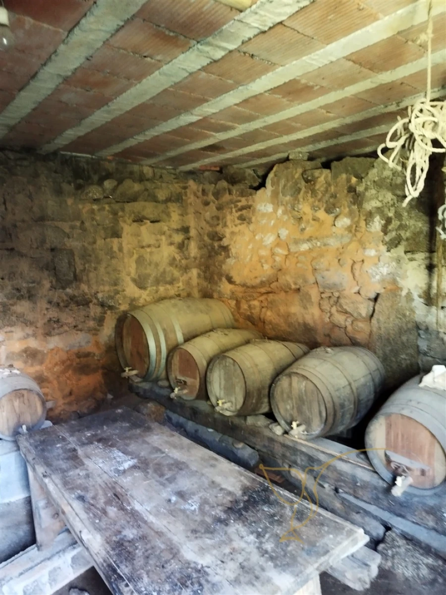 Moradia T0 para Venda em Monção e Troviscoso Foto 16