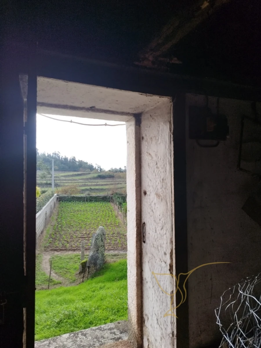 Moradia T0 para Venda em Monção e Troviscoso Foto 3