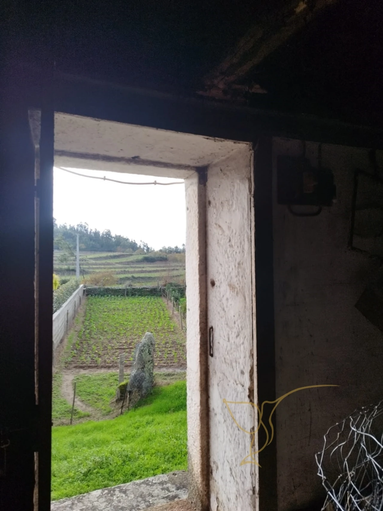 Moradia T0 para Venda em Monção e Troviscoso Foto 3