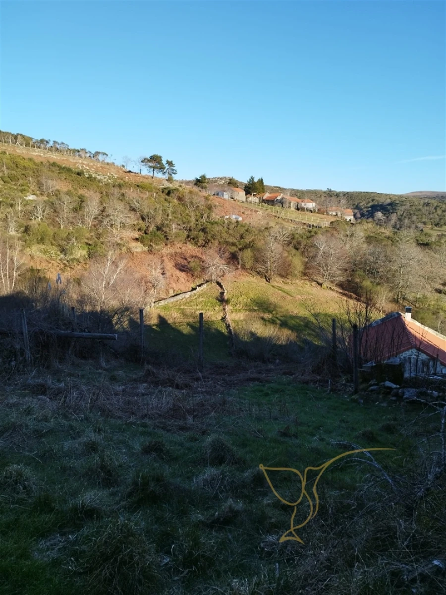 Moradia T0 para Venda em Castro Laboreiro e Lamas de Mouro Foto 11