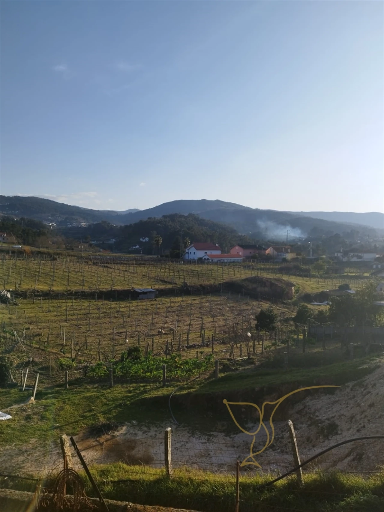 Moradia T0 para Venda em Prado e Remoães Foto 9