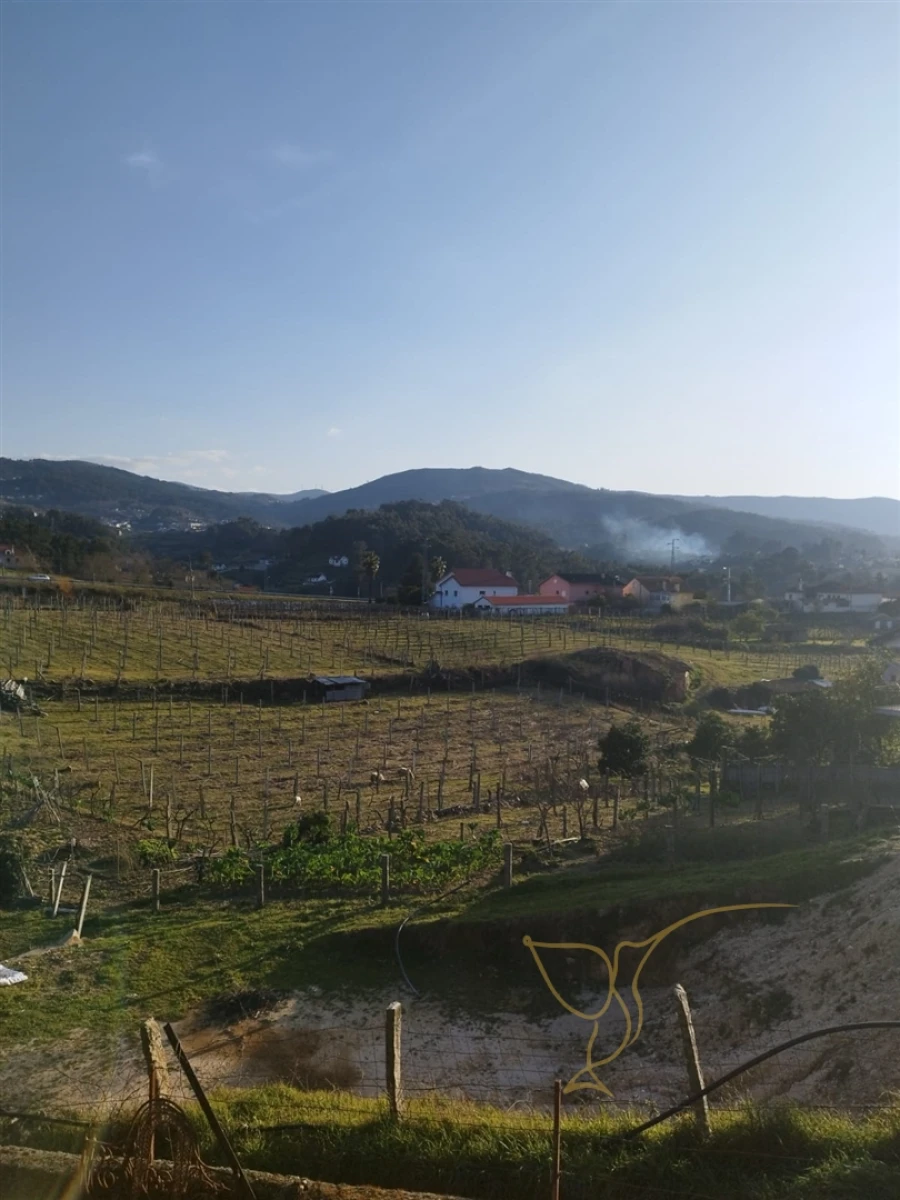 Moradia T0 para Venda em Prado e Remoães Foto 9