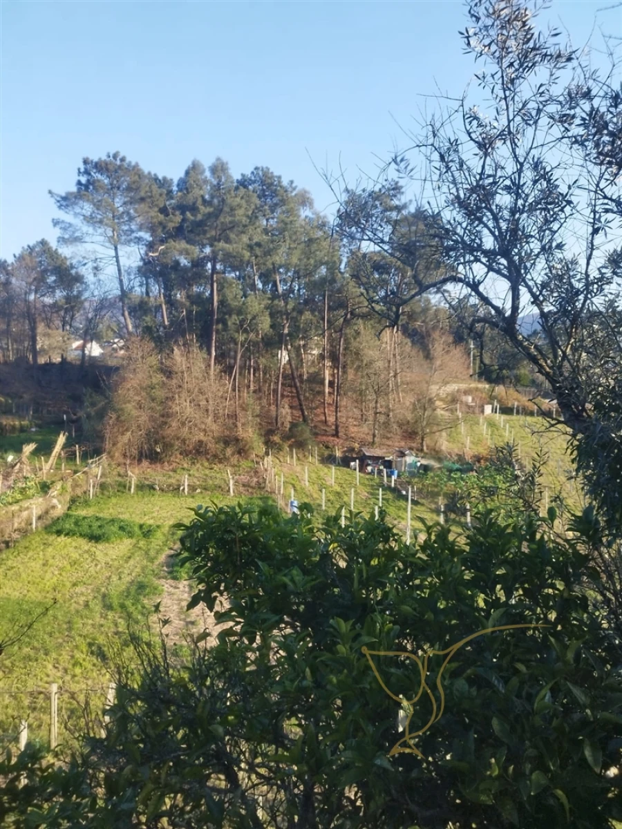 Moradia T0 para Venda em Prado e Remoães Foto 14