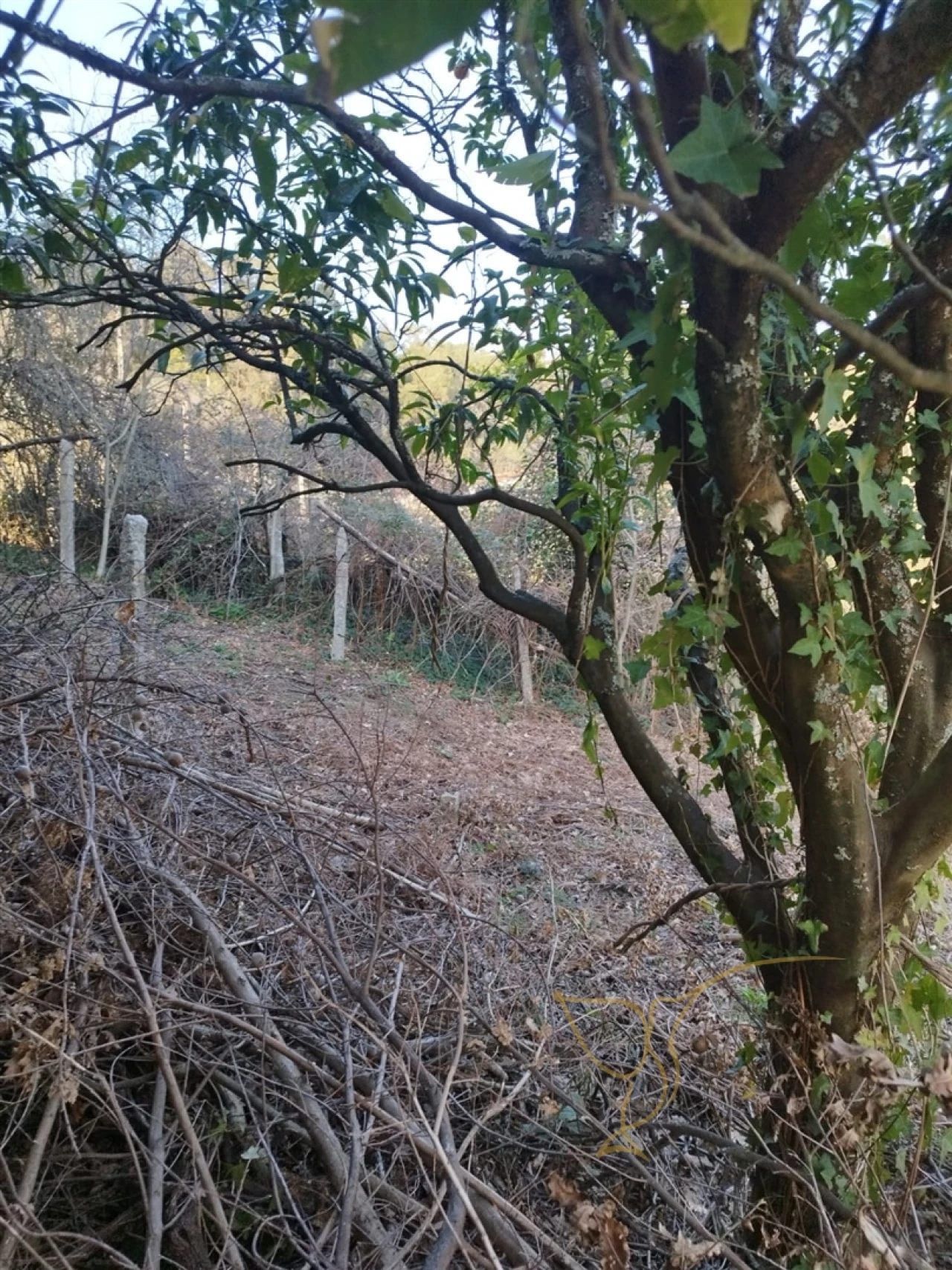 Moradia T0 para Venda em Prado e Remoães Foto 15