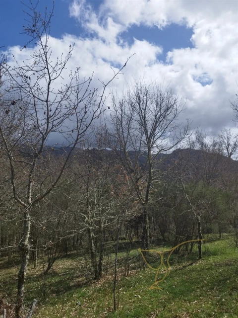 Moradia T0 para Venda em Castro Laboreiro e Lamas de Mouro