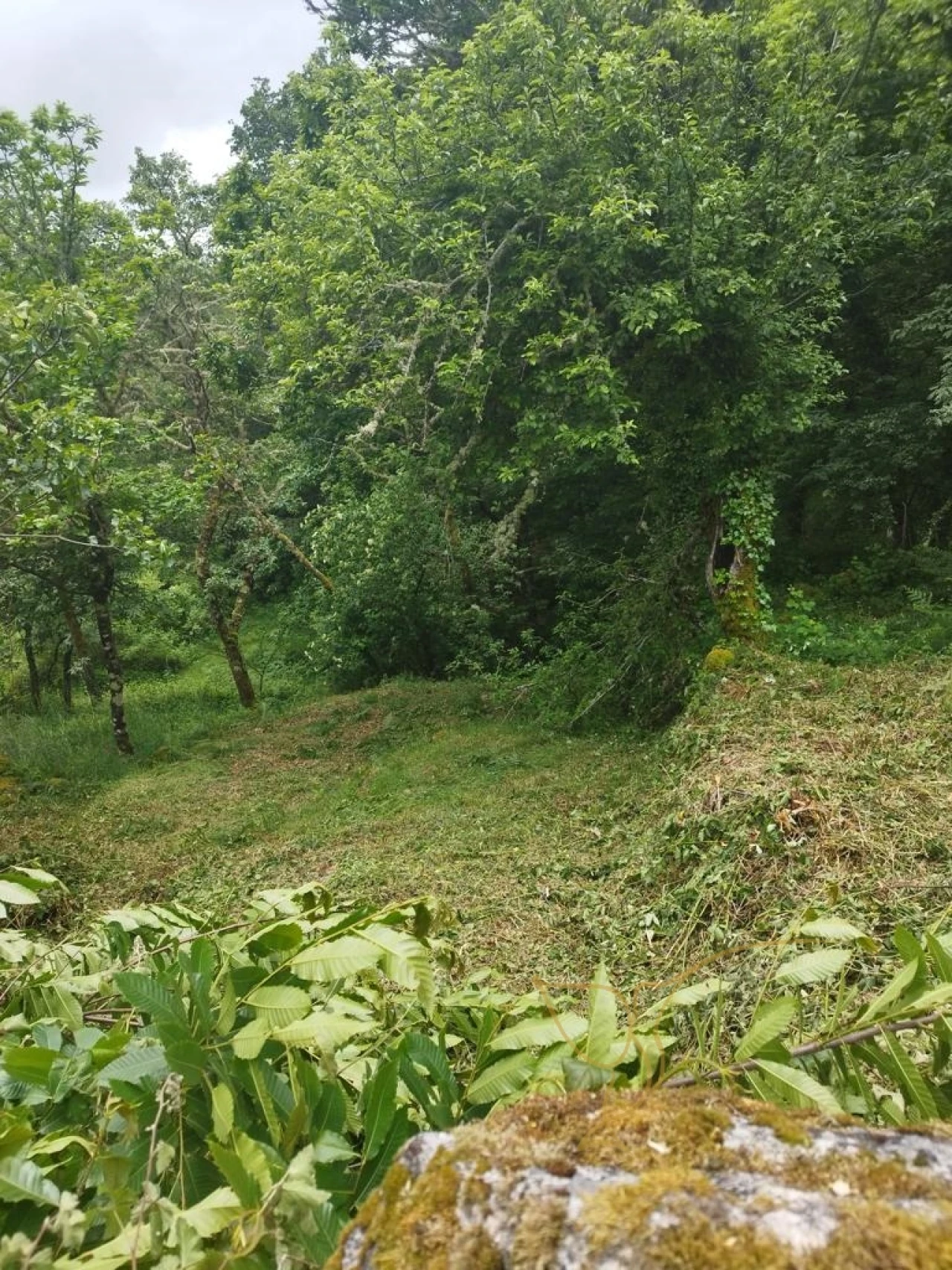 Moradia T0 para Venda em Castro Laboreiro e Lamas de Mouro Foto 5