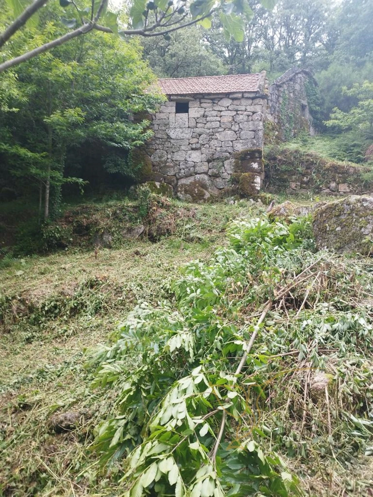 Moradia T0 para Venda em Castro Laboreiro e Lamas de Mouro Foto 4
