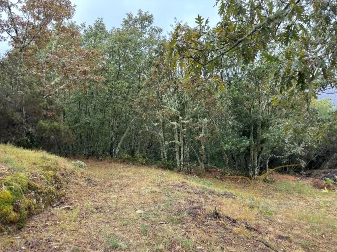 Moradia T3 para Venda em Castro Laboreiro e Lamas de Mouro Foto 36