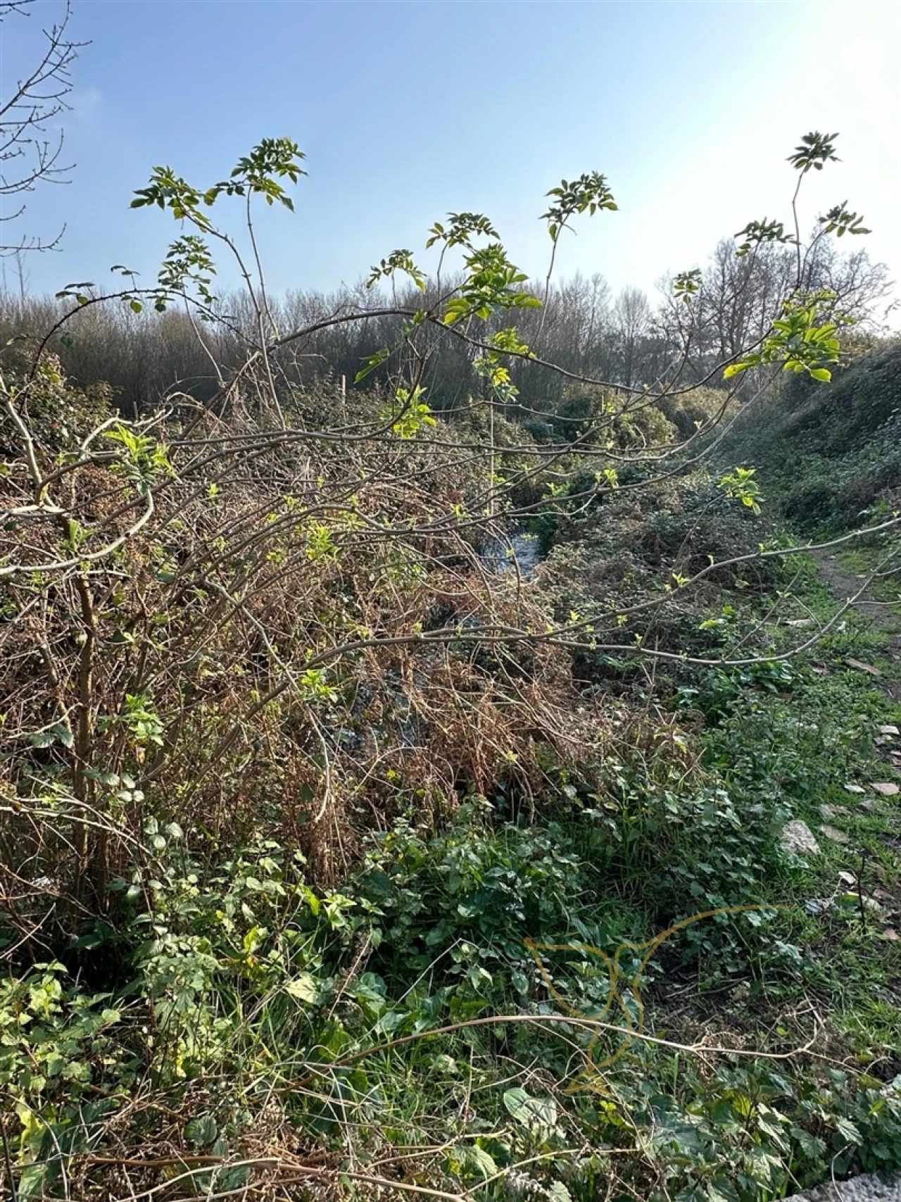 Moradia T0 para Venda em Monção e Troviscoso Foto 28