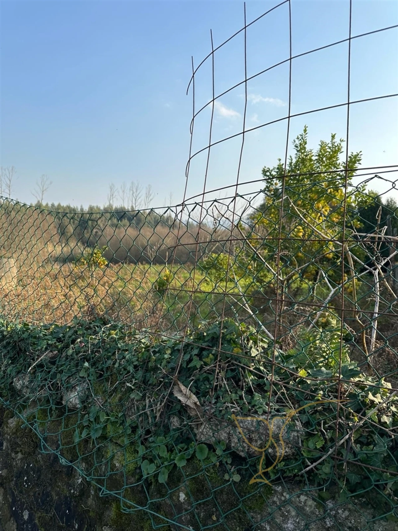 Moradia T0 para Venda em Monção e Troviscoso Foto 19