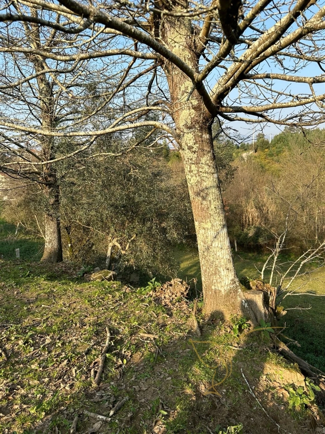 Moradia T0 para Venda em Monção e Troviscoso Foto 22
