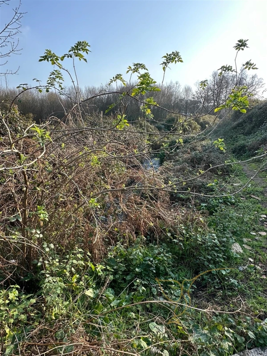 Moradia T0 para Venda em Monção e Troviscoso Foto 28