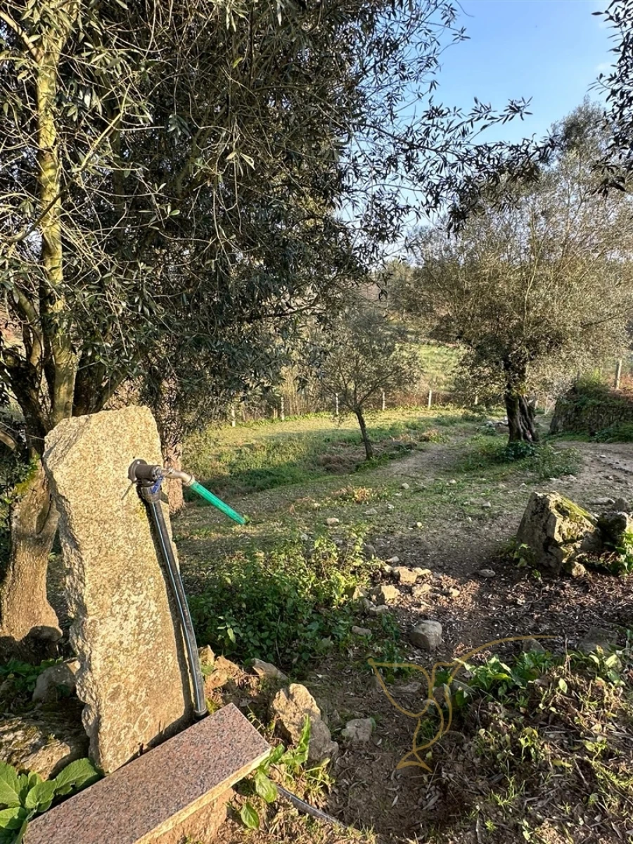 Moradia T0 para Venda em Monção e Troviscoso Foto 27