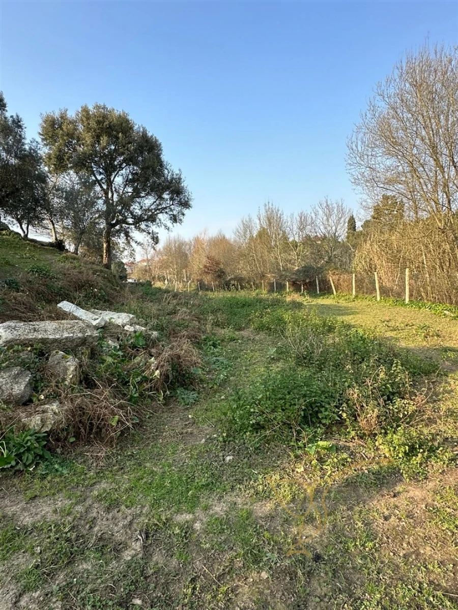 Moradia T0 para Venda em Monção e Troviscoso Foto 29