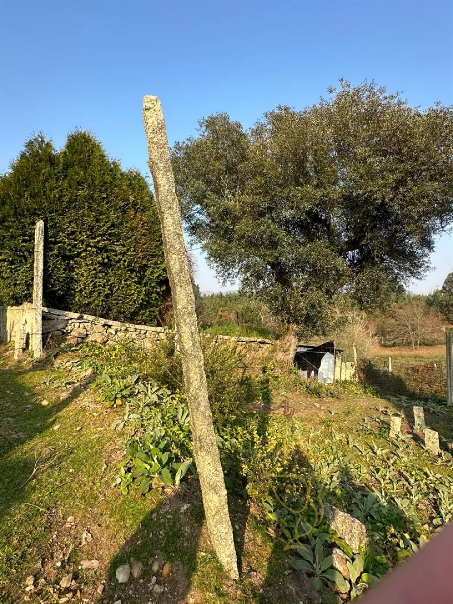 Moradia T0 para Venda em Monção e Troviscoso Foto 32