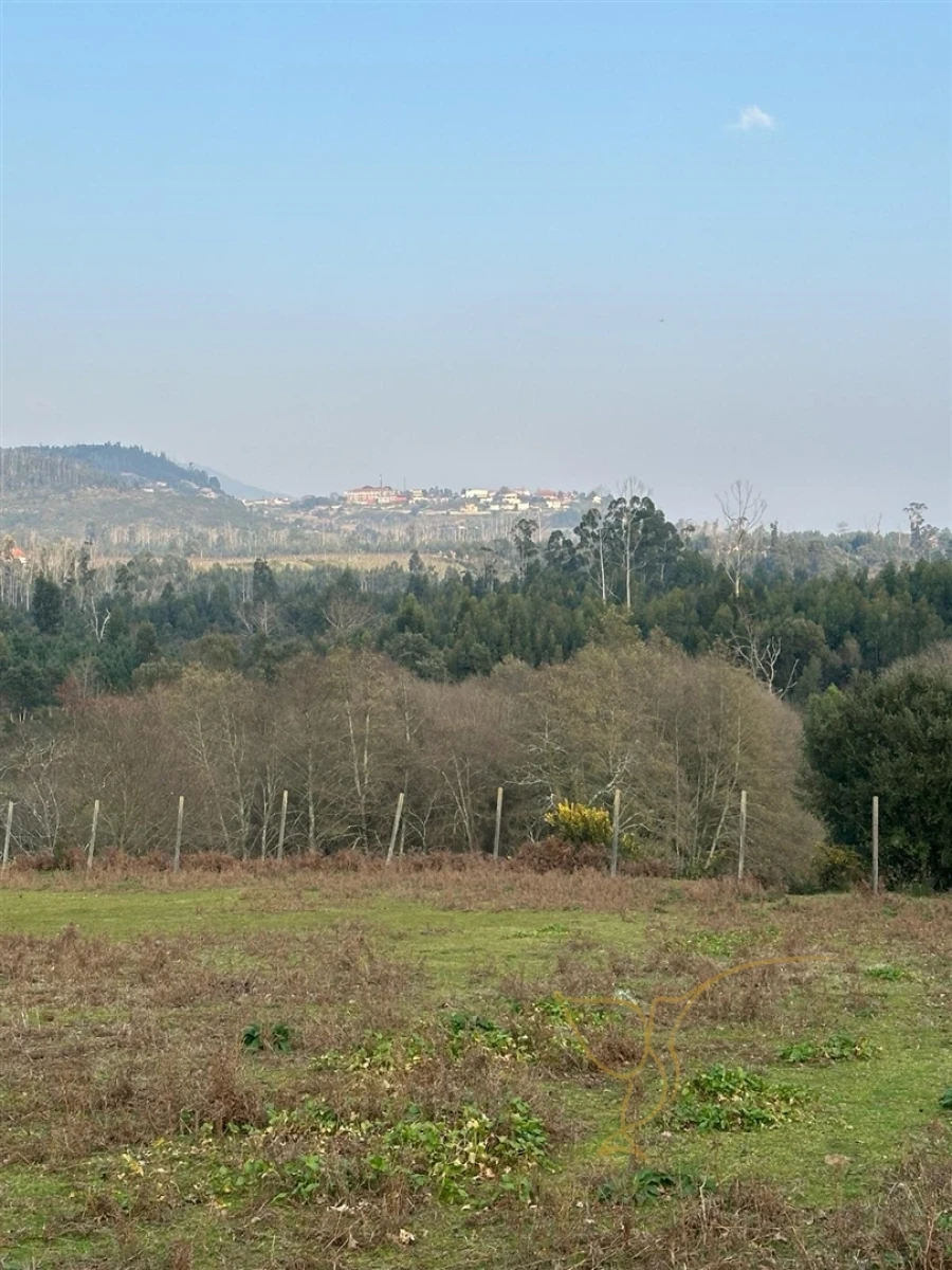 Moradia T0 para Venda em Monção e Troviscoso Foto 37