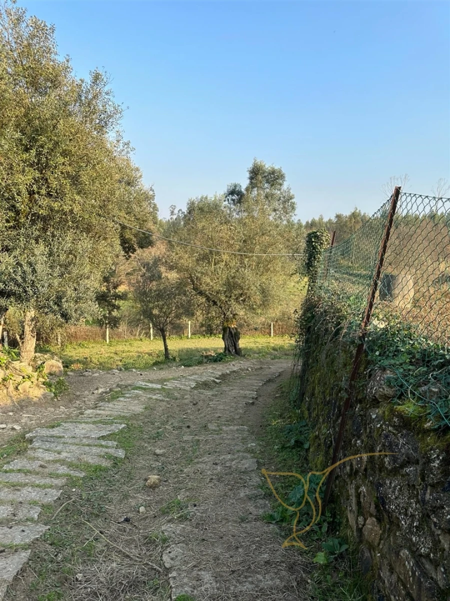 Moradia T0 para Venda em Monção e Troviscoso Foto 20