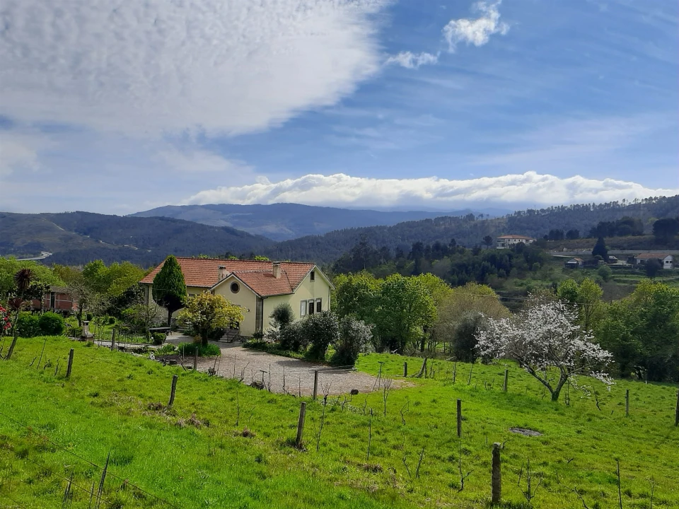 Moradia T7 para Venda em Mentrestido Foto 4