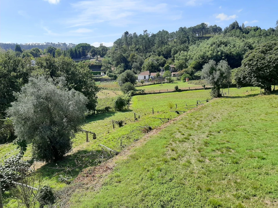 Moradia T7 para Venda em Mentrestido Foto 8