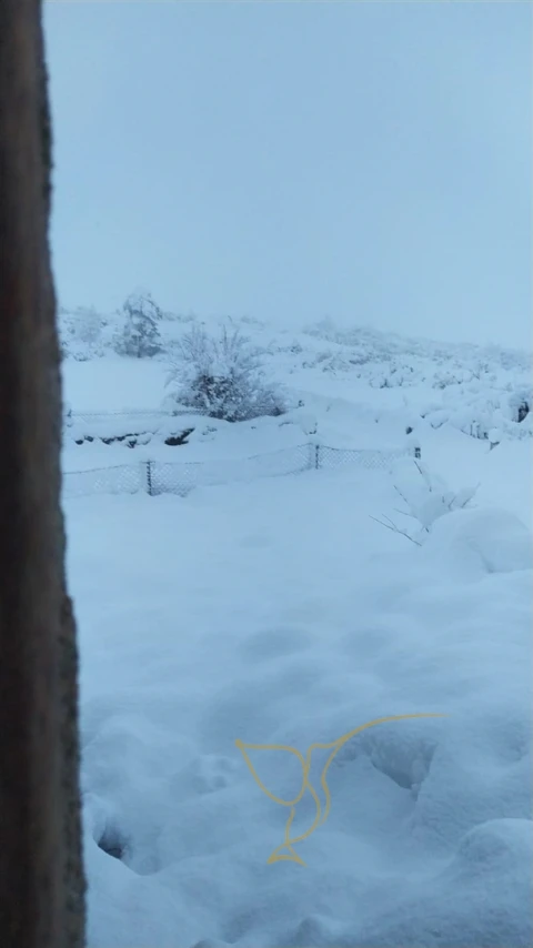 Moradia T0 para Venda em Castro Laboreiro e Lamas de Mouro